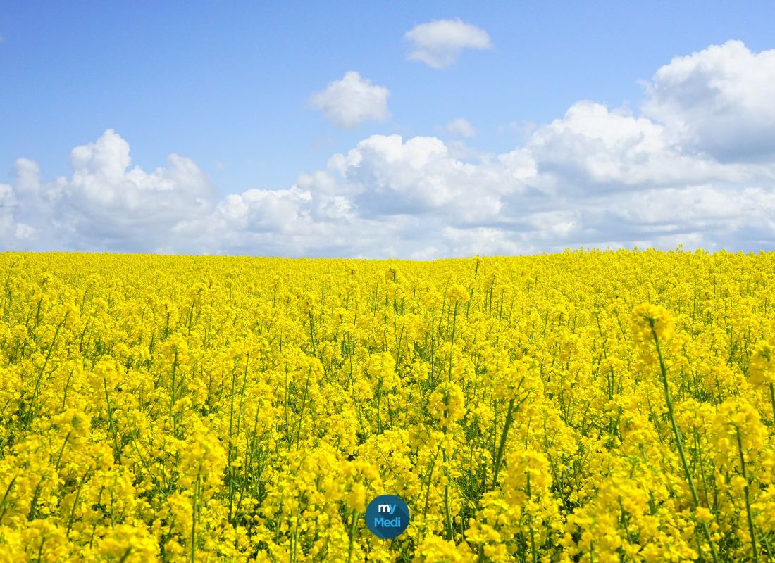 L'arrivée du printemps et des pollens, utilisez un purificateur d'air