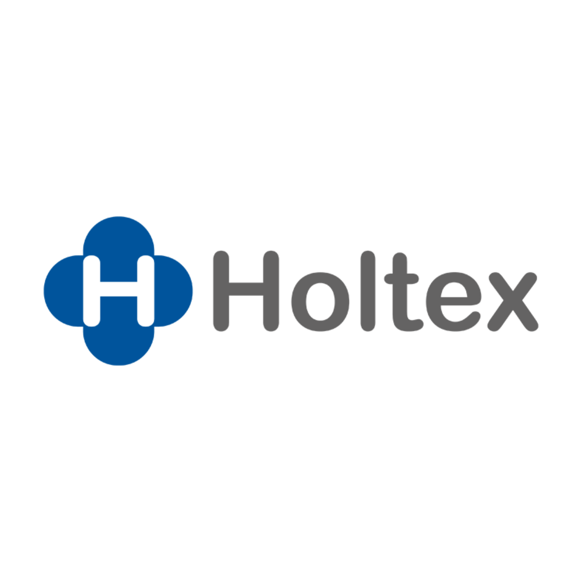 Holtex