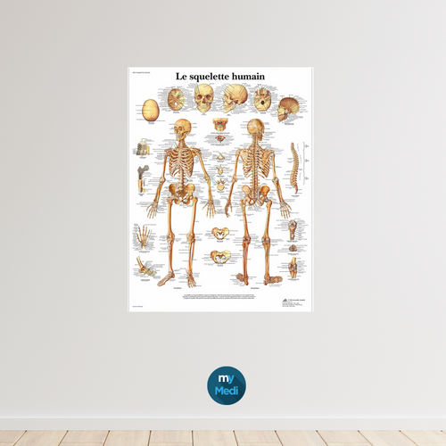 Office equipment for osteopathy practice